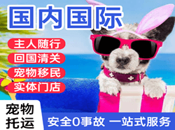 朝阳航空快运国际宠物托运 【国